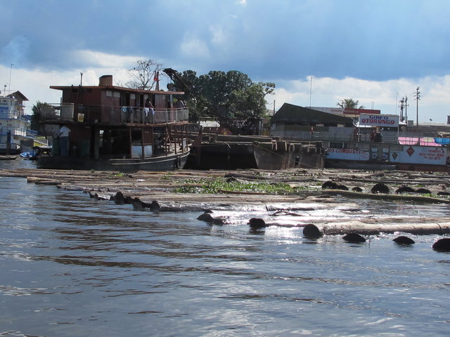 flottage et en même temps conservation du bois Iquitos